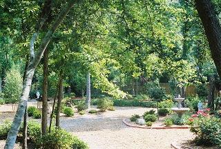RJT/Garden2.JPG